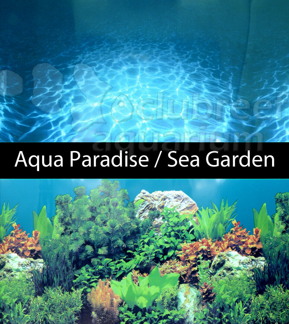Aqua Paradise/Sea Garden 2 Scene 24